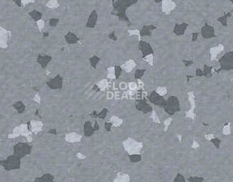 Линолеум Taralay Premium Brazilia 3709 Caera фото 1 | FLOORDEALER